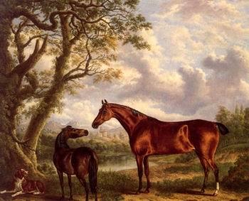 unknow artist Classical hunting fox, Equestrian and Beautiful Horses, 224. oil painting image